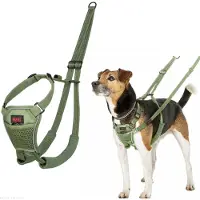 Company of animals Halti No Pull Hundsele