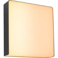 Paulmann LED-utomhusvägglampa med rörelsedetektor Azalena 8.5 W RGBW