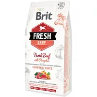 Brit Fresh nötkött med pumpa Puppy Large 2,5 kg
