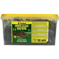 Tropical GREEN ALGAE WAFERS hink 5 l