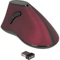 DeLOCK 12622 Ergonomisk mus USB Optisk Svart 5 Knappar 1000 dpi