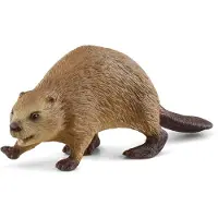 Schleich Wild Life - Bäver - H: 3, 5 cm 14849 - - One Size - Leksaksdjur