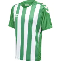 Hummel Matchtröja Core Striped - Grön/Vit Barn, storlek 152 cm