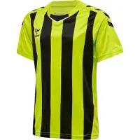 Hummel Kortärmad träningströja - , storlek 164 cm