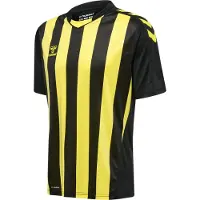 Hummel Core Xk Striped T-shirt Med Korta ärmar