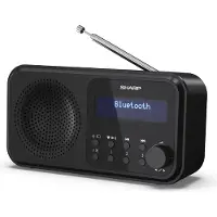 Sharp - Tokyo Portable Digital and FM Radio - Black Midnight