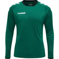 Hummel Målvaktsställ Core - Grön/Vit, storlek Large