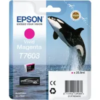 Epson T7603 vivid magenta bläckpatron (original)