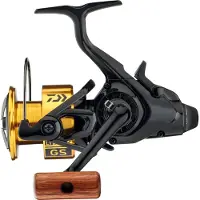 Daiwa Gs Br Lt 20 Karpfiskerulle