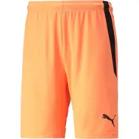 Puma Shorts Teamliga - Orange/svart, storlek Medium