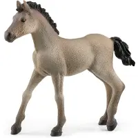 Schleich Horse Club - Criollo Föl - H: 7, 6 cm 13949 - - One Size - Leksaksdjur