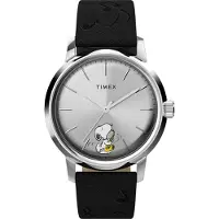 Timex Peanuts Tw2w68800 40mm 5atm Quartz/analogical Klocka