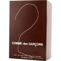 Comme des Garcons 2 Eau de Parfum 100 ml
