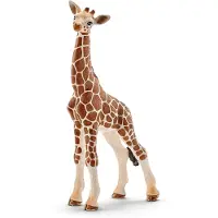 Schleich Wild Life - H: 11, 5 cm - Giraff Unge 14751 - - One Size - Leksaksdjur