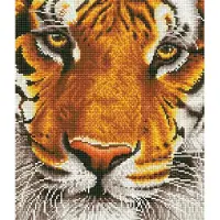 Diamond Dotz 36 x 42 cm - Bengal Løve