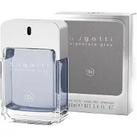 Bugatti Signature Grey Eau de Toilette 100 ml