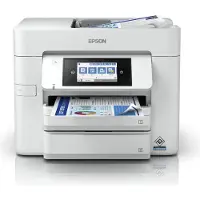 Epson WorkForce Pro WF-C4810DTWF - Multifunktionsskrivare - färg - bläckstråle - A4/Legal (media) - upp till 36 sidor/minut (utskrift) - 500 ark - USB 2.0, LAN, Wi-Fi(n), USB-värd