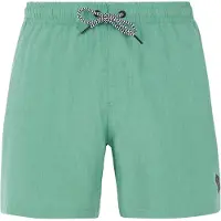 Protest Davey Simshorts