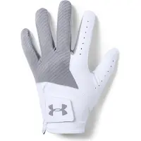 Under Armour Träningshandskar UA Medal Golf Glove-GRY 1349705-035