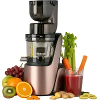 4Swiss Slowjuicer Swan BM105 Rose Gold
