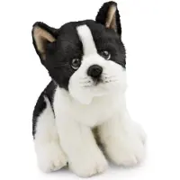 Nici Hund Boston Terrier Teddy 20 Cm