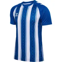 Hummel Match Striped T-shirt Med Korta ärmar