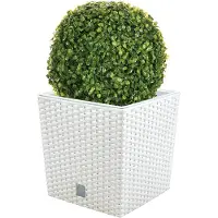 Wellhome Prosperplast Rato 32l S Set Blomkruka 2 Enheter