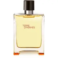 Hermès Paris Terre D'Parfum Parfym 200 ml