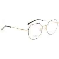 Ana Hickmann Optical Frame HIY1031T 09A 49 Titanium