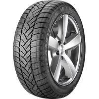 Dunlop Grandtrek WT M3