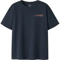 Name it T-shirt 'NKMFELIX' marinblå / ljusblå / ljusröd / vit