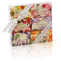 Nesti dante Nesti-Dante-Firenze Tval-och-duschgel SetsSoap Set Gillyflower & Fuchsia + Rose & Peony + Cherry Blossom & Basil + Lily & Narcissus + Wisteria and Lilac + Lavender & Verbena