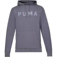 Puma Sport sweatshirt grå / ljusgrå