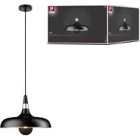 Paulmann 78481 Pendellampa E27 Svart (matt), Champagne