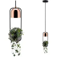 Paulmann Fanja 79749 Pendellampa Speciallampa GU10 20 W Koppar, Svart