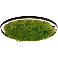 JUST LIGHT LED taklampa Gerda Ritus, dimbar, Grön, Vardagsrum / matsal, Modern, LED-taklampa