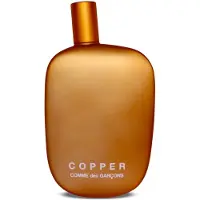Comme des Garcons Copper Vaporizer 100ml Eau De Parfum