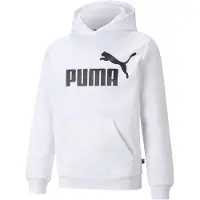 Puma Essential Big Logo Tröja Med Huva