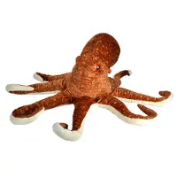 Toys WILD R CK Jumbo