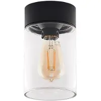 Arcchio Liljana utomhustaklampa, IP65, svart , dimbar, Svart, Glas, Modern, Taklampa