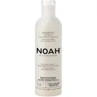 NOAH Blåbär Anti-Yellow Schampo 250ml
