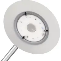 Hamelin Unilux Premium Variaglass - Golvlampa i form av en fackla - LED - 22 W - klass A+ - 3000 K - frostad, metallgrå