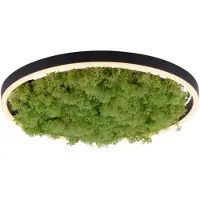 JUST LIGHT LED taklampa Green Ritus, dimbar, Grön, Vardagsrum / matsal, Modern, LED-taklampa