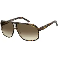 Carrera Aviator Mens Havana Brown Gradient Solglasögon