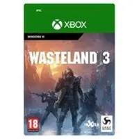 Wasteland 3