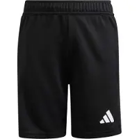 Adidas Tierro 26 Goalkeeper Shorts