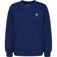 Hummel Jump Boxy Tröja
