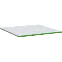 vidaXL Madrasskydd Vit och grön 200 x 200 cm Jacquard tyg