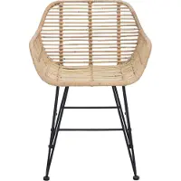 vidaXL Matstols i rotting - - Naturlig - Rots och metall - 55x50x74 cm - Set om 2