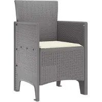 vidaXL Trädgård Stol 2 pcs Ljusgrå 53 x 49 x 85 cm Polypropylen